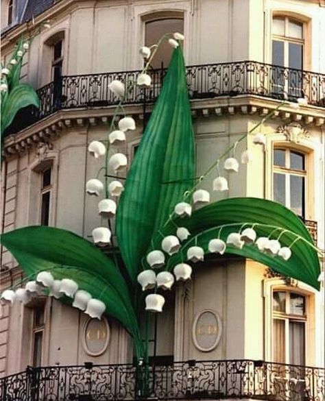 List Of Flowers, Flower Artists, Dior Paris, Garden District, I Love Paris, Autumn Scenes, Chelsea Flower, Chelsea Flower Show, Made In Heaven