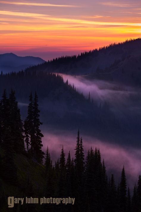 Olympic National Park Washington, Mountain Photos, Washington Usa, Pretty Landscapes, Olympic National Park, Sunset Pictures, Scenic Landscape, Nature Aesthetic, Sky Aesthetic