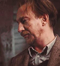 Remus And Tonks, Lupin Harry Potter, David Thewlis, Film Harry Potter, Gellert Grindelwald, Harry Potter Gif, Harry Potter Pictures, Lily Evans, Harry Potter Cast