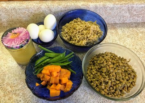 Barley Lentil Buddha Bowls and How to DIY - Vintage Kitchen Vixen Barley Bowl, Nourishing Dinner, French Vinaigrette, Potatoes Green Beans, Summer Savory, Pearl Barley, Buddha Bowls, Green Lentils, Buddha Bowl