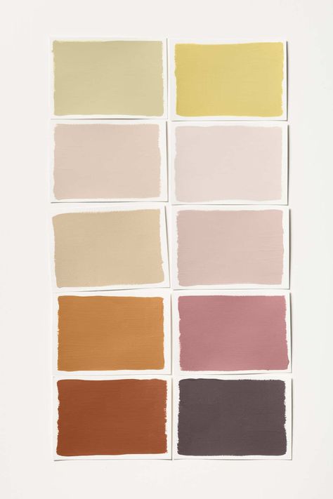 Wild Wonder, Dulux Wild Wonder Bedroom, Colour 2023, Art Trends 2023 Painting, Wild Wonder Dulux Paint, Dulux Wild Wonder, Dulux Boho Blush, Trending Colours Of 2023, Dulux Colour Of The Year 2023