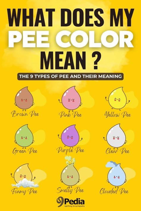 Cloudy Pee, Green Urine, Pee Color, Color Of Urine, Cloudy Urine, Pee Smell, Urine Smells, Cat Pee, Color Meanings