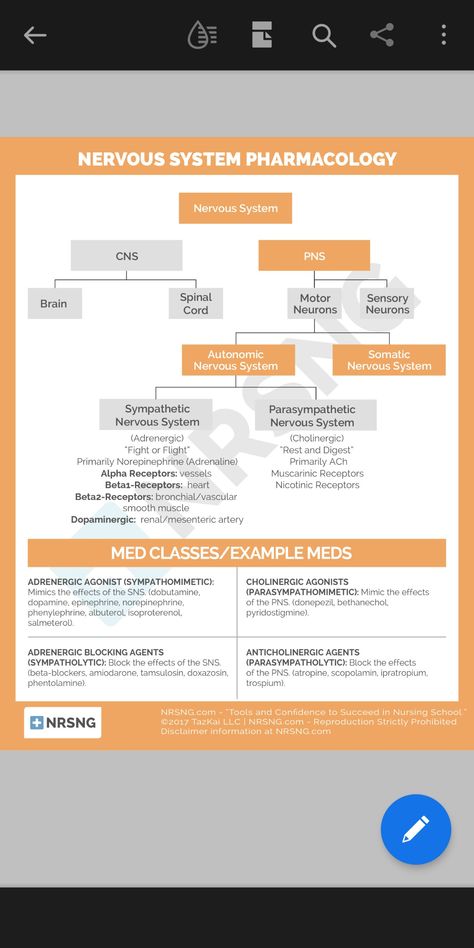 Cholinergic Agonists, Brain Neurons, Parasympathetic Nervous System, Medicine Student, Pharmacology Nursing, Medical School Studying, Pharmacology, Biochemistry, Nursing Notes