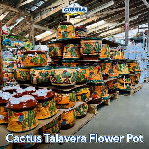 Cactus Talavera Flower Pots Talavera Backyard, Talavera Pottery Garden, Talavera Garden, Talavera Decor, Talavera Wall, Hanging Guitars, Mushroom Designs, Medieval Knight Armor, Mexican Garden