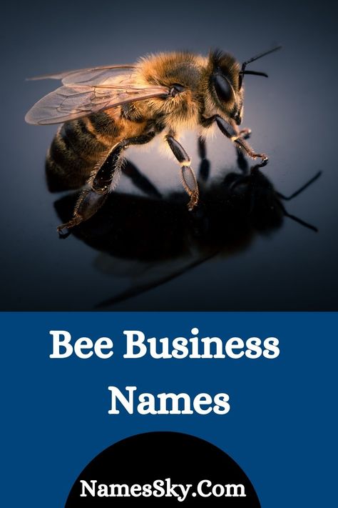 Looking for some Bee Business Names? The right bee business, usually known as apiculture, is the procedure of raising and conserving bee territories, mainly for the production of honey and additional bee-related offerings. However, bees do more than merely produce honey; they are active pollinators. @beebusiness @mayabeecomm @bee_farm @PandahallBlog @beedazzlebyjhillybee Honey Name, Bee Business, Bee Candles, Honey Brand, Bee Farm, Creative Names, Names Ideas, Bee Inspired, Blog Names