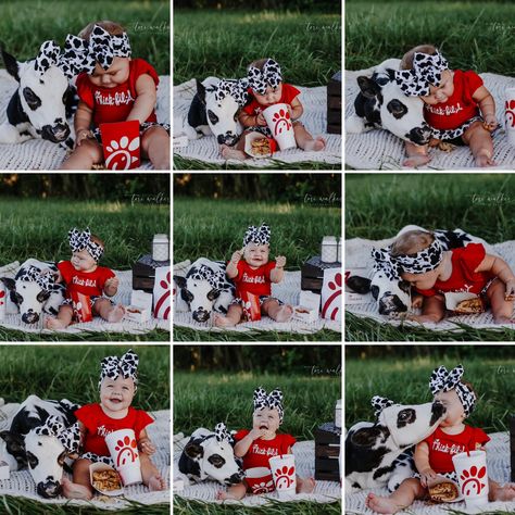 Cow Themed Photo Shoot, Chickfila Themed First Birthday, Chick Fil A First Birthday Party, Chick Fil A Birthday Party Theme, Bday Pics, Cow Photography, Cow Baby Showers, Baby Photo Shoot, First Birthday Pictures