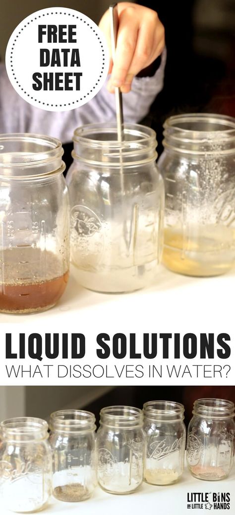 Do you know which solids dissolve in water and which do not? A super fun kitchen chemistry science experiment for kids that's totally easy to set up. Learn about solutions, solutes, and solvents through experimenting with water and common kitchen ingredients. Grab the free printable too for simple science experiments and STEM all year round! What Dissolves In Water Experiment, Solute And Solvent, Science Provocations, Water Experiments For Kids, Science Experiments Kids Preschool, Science Experiments Kids Elementary, Kitchen Chemistry, Kitchen Science Experiments, Chemistry Activities