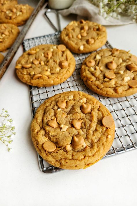 The Best Peanut Butter Cookies, Best Peanut Butter Cookies, The Best Cookies, Chewy Peanut Butter Cookies, Best Cookies, Best Peanut Butter, Gourmet Cookies, Smart Cookie, Peanut Butter Cookie Recipe