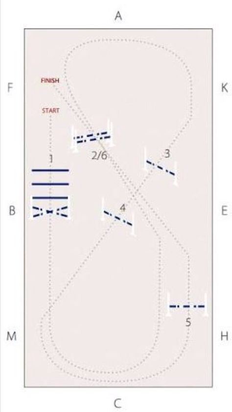 Simple Horse Jump Courses, Simple Jumping Courses, Small Jumping Courses, Horse Jumping Courses Simple, Horse Jump Course, Jumping Courses Horse, Jump Courses For Horses, Horse Jumping Courses, Showjumping Course