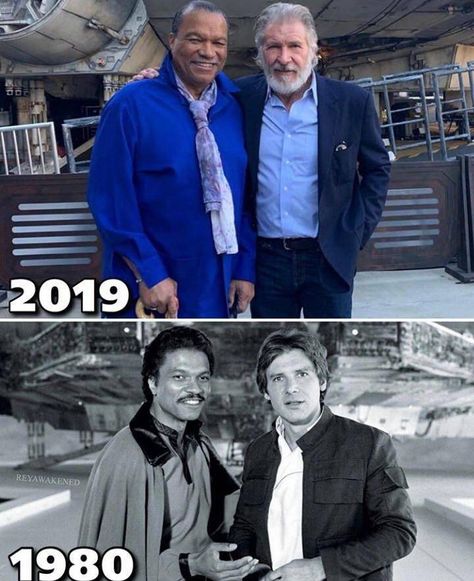 38 Fascinating Pics to Lift You Higher - Wow Gallery Star Wars Outfit, Star Wars Meme, Billy Dee Williams, Star Wars Cast, Star Wars Love, Star Wars Jokes, Star Wars Images, Star Wars Pictures, Harrison Ford