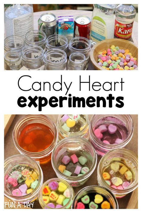 These preschool candy heart experiments are perfect for the month of February! #FunADay #preschool #preschoolactivities #valentinesday #science #preschoolscience #preschoolscienceactivities Heart Experiment, Tk Classroom, February Preschool, Science Valentines, Science Kids, February Activities, February Ideas, Science Experiments For Preschoolers, February Crafts