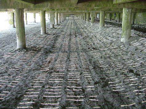 Under the boardwalk, Wildwood Wildwood Boardwalk, Under The Boardwalk, Childhood Summer, North Wildwood, Wildwood Nj, American Flag Wallpaper, Flag Wallpaper, Man Design, Moving To Florida