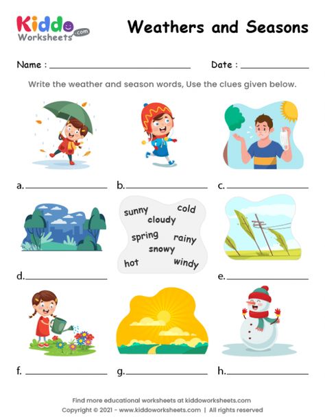 Seasons Worksheets For Kids, Four Seasons Worksheets For Kindergarten, Seasons Matching Worksheet, 4 Seasons Worksheets For Kids, Worksheets On Seasons For Kindergarten, Seasons Name, Seasons Worksheets, Free Printable Worksheets, Color Worksheets