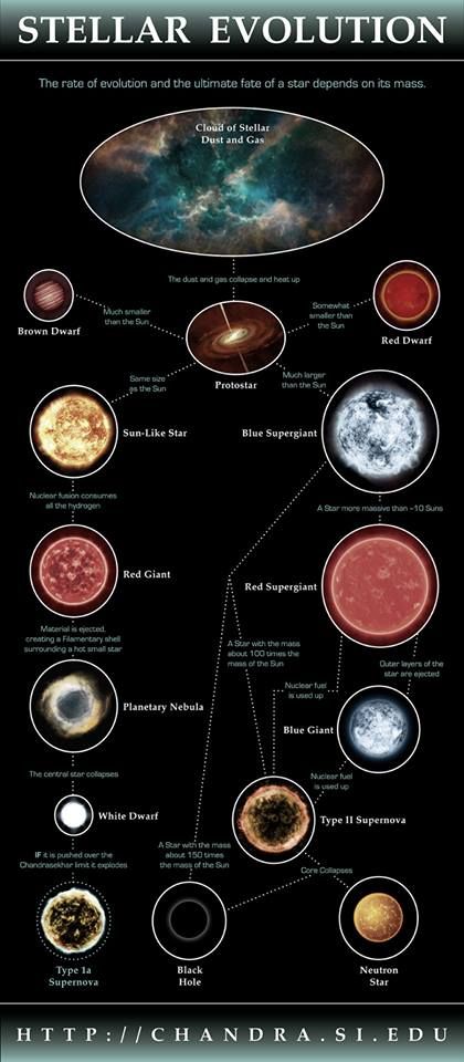 The evolution of stars in our Universe. Full size (and printable) version of this and other Astronomy Infographics. Planetary Nebula, Astronomy Facts, Astronomy Science, Space Facts, E Mc2, The Solar System, Science Facts, Sistema Solar, Our Solar System