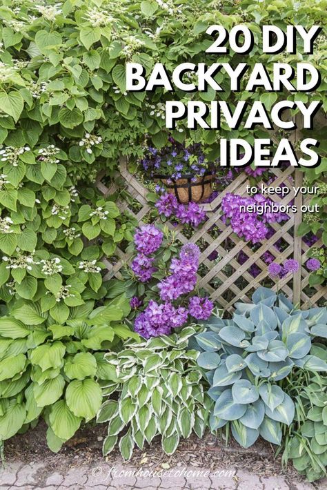 Back Yard Privacy, Outdoor Privacy Screen Ideas, Backyard Privacy Ideas, Privacy Screen Ideas, Privacy Trellis, Yard Privacy, Pergola Outdoor Living, Garden Screens, Outdoor Privacy Screen