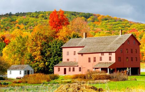 The Massachusetts Town In The Middle Of Nowhere That's So Worth The Journey Massachusetts Fall, Pittsfield Massachusetts, Ideal Day, Small Town Living, Massachusetts Travel, The Berkshires, New England Travel, New England Fall, In The Middle Of Nowhere