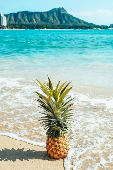 Pineapple on the beach on Oahu, Hawaii. The ocean is the perfect shade of turquoise, the sea foam hits the pineapple at exactly the right place and it's shadow is cast perfectly on the sand that's unaffected. @katgaskin. Summer Backrounds, Pineapple Backgrounds, Pineapple Pictures, Pineapple Wallpaper, Fruit Wallpaper, Fruit Photography, Scenery Pictures, Cool Wallpapers For Phones, Beach Wallpaper