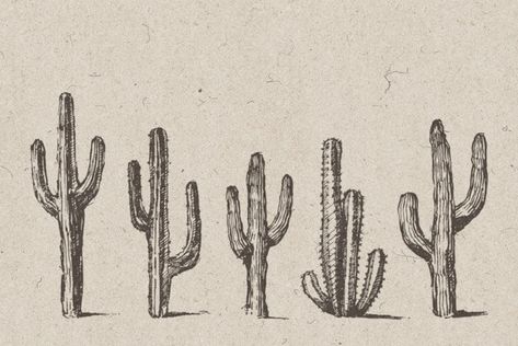 Punisher Redesign, Cowboy Core, Quetzalcoatl Tattoo, Western Aesthetic Wallpaper, Cactus Tattoo, Cactus Drawing, Western Prints, Western Photo, Cactus Illustration