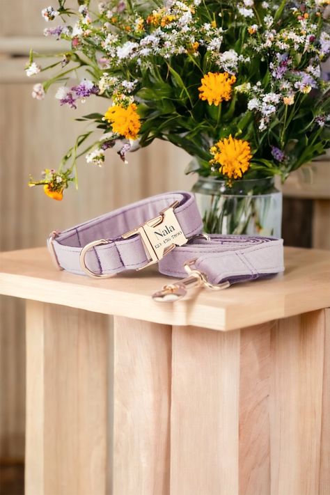 Elevate your pup's style game with our Lavender Velvet Personalized Dog Collar Bow Tie Leash Set. This set exudes luxury with its lavender velvet collar and a stylish bow tie. The metal buckle can be engraved with your pet's name, making it truly one-of-a-kind. A perfect lilac-themed birthday gift for your furry companion that will have them looking and feeling their best! Lavender Dog Collar, Pretty Dog Collars, Personalized Leather Gifts, Velvet Dog Collar, Dog Collar And Leash, Daisy Dog, Luxury Dog Collars, Small Dog Harness, Dog Poop Bag Holder