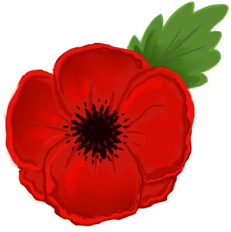 Wear a Poppy by StressedJenny.deviantart.com on @deviantART Poppy Clipart, Anzac Poppy, Poppy Flower Drawing, Poppy Flower Painting, Poppy Images, Remembrance Day Poppy, Remembrance Poppy, Art Flash, Poppy Drawing