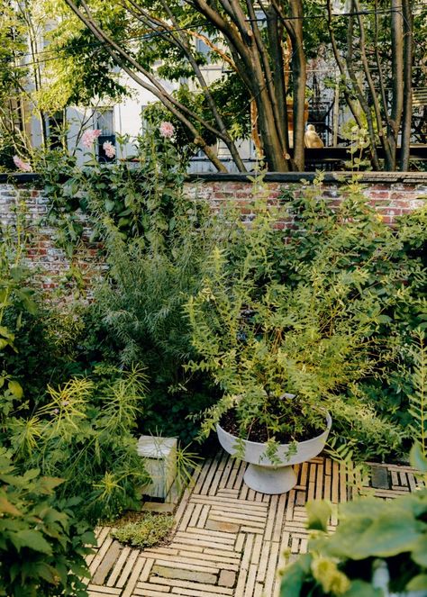 Miranda Brooks and Ulla Johnson on their evergreen friendship Miranda Brooks, Financial Times, Planting Bulbs, Patio Area, Exotic Flowers, Landscape Architect, Outdoor Style, Urban Garden, Clematis