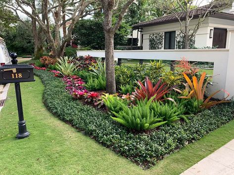 Foxtail Fern, Mulch Landscaping, Florida Landscaping, River Rock Landscaping, Sloped Backyard, Hillside Landscaping, Front Yard Design, Corner Garden, Yard Design