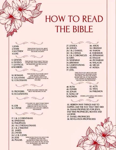 Bible Verse Memorization, Learn The Bible, Bible Doodling, Bible Study Help, Bible Journal Notes, Bible Study Plans, Bible Study Methods, Read The Bible, Womens Bible Study