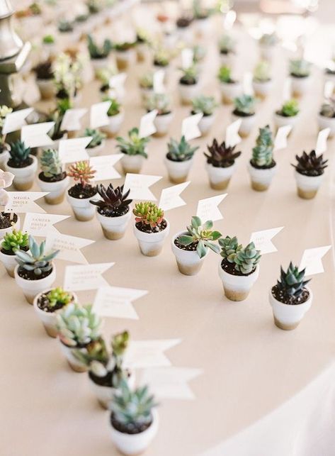 Wedding Favor Display, Classy Wedding Favors, Favor Display, Honey Wedding Favors, Succulent Wedding Favors, Creative Wedding Favors, Inexpensive Wedding Favors, Rustic Style Wedding, Succulent Favors