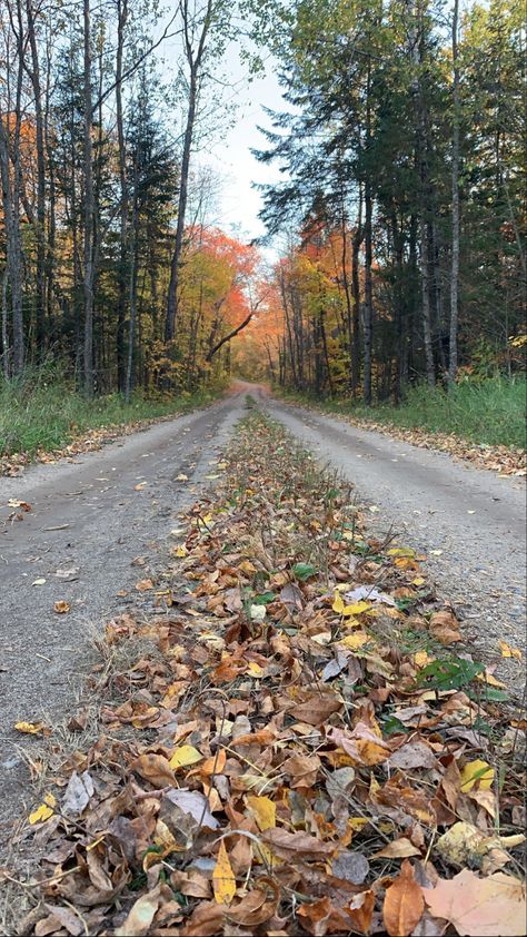 Minnesota Fall, 2023 Vision, Fall Hiking, Fall 2023, Pinterest Board, Minnesota, Vision Board, Most Beautiful, Country Roads