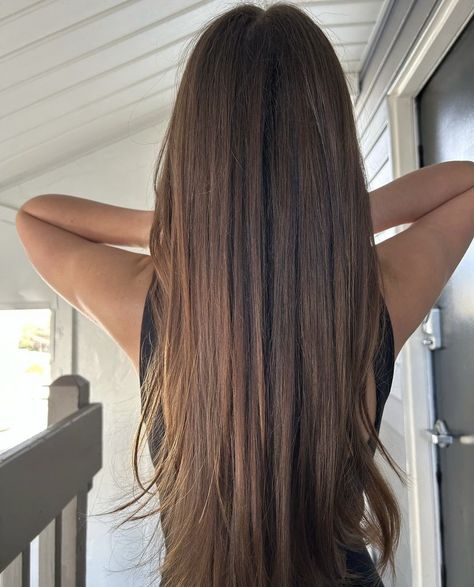 Long Strait Hair Hairstyles, Strait Hair Haircuts, Long Strait Haircut, Blended Layers, Long Hair No Layers, Long Hair Long Layers, Long Brown Hair With Layers, Short Layers Long Hair, Brown Layered Hair