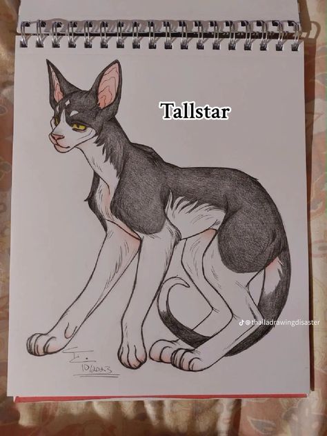 Warrior Cats Tallstar Warrior Cats Crafts, Warrior Cats Sketch, Warrior Cats Tallstar, Tallstar Warriors, Cats Sketch, Cats Crafts, Warriors Cats, Cat Reference, Cat Sketch