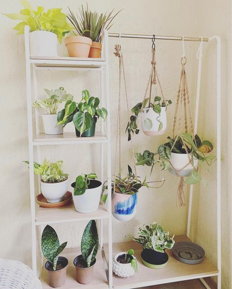 Clothing Rack For Plants, Plants On Clothes Rack, Garment Rack Bedroom, Usa Clothes, Apartment Plants, Diy Plant Hanger, Garment Rack, Diy Wooden Projects, Plant Ideas