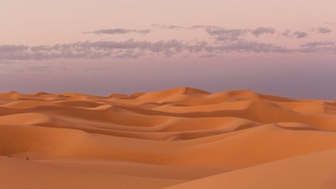 Dunes at dusk, Ouargla(Algeria) Brown Wooden Bed, Dunes Photoshoot, Worlds End, Desert Aesthetic, Macbook Desktop, Industry Design, Wooden Bed Frames, Mattress Frame, Macbook Wallpaper