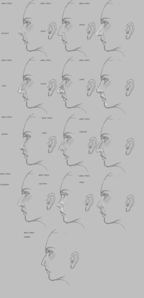 Nose References, Drawing Noses, Drawing Nose, Nose Types, View Drawing, Nose Drawing, Human Figure Drawing, 얼굴 그리기, Drawing Faces