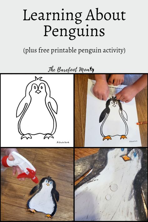 Activities and resources for learning all about penguins with your kids or students. Includes a free printable coloring activity that demonstrates how penguins stay warm and dry in cold Antarctic waters. Penguin Experiments For Kids, How Do Penguins Stay Dry Experiment, Penguin Science Experiment, Penguins Preschool Activities, Penguin Stem Activities, Penguin Activities For Kids, Penguin Experiment, Penguin Activities For Preschool, Penguins Preschool