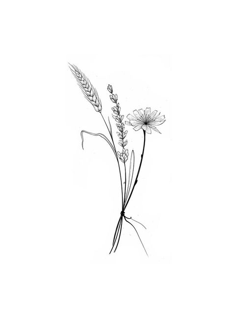 Lavender And Wheat Tattoo, Simple Wheat Tattoo, Wheat And Wildflower Tattoo, Aster Flower Tattoo Black And White, Wheat Line Art, Strawflower Tattoo, Pampas Grass Tattoo, Wheat Tattoos For Women, Dried Flower Tattoo