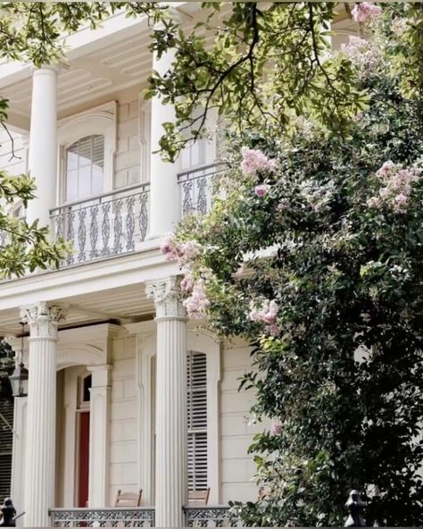 Elizabeth James Aesthetic, James Aesthetic, Elegant House, London Townhouse, House Dream, Swan Princess, Elizabeth James, Summer Scenes, Garden District