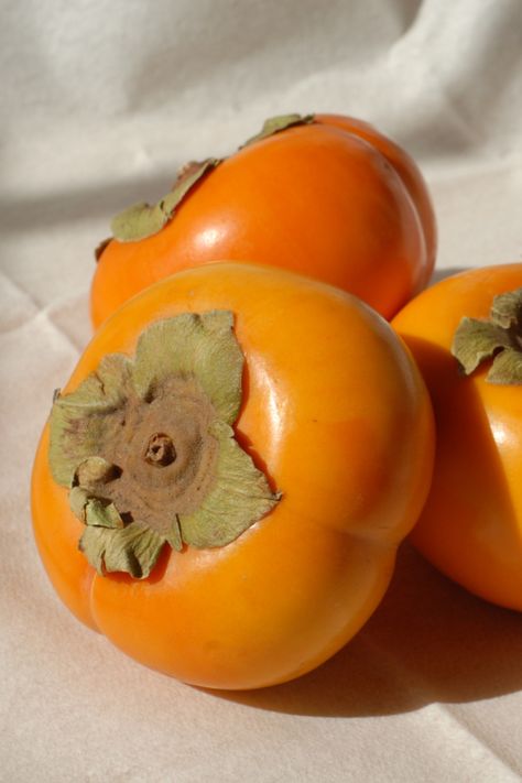 Persimmon Aesthetic, Asian Fruit, Fruit Sculpture, Childhood Food, Persimmon Tree, Fruits And Vegetables Pictures, Persimmon Fruit, Food Reference, Aesthetic Fruit