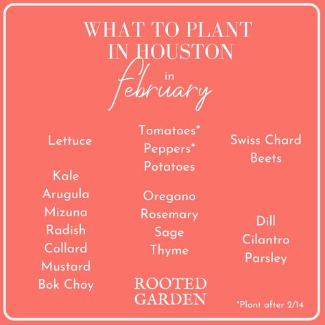 Gardening In Houston Texas, Rooted Garden, What To Plant When, Spring Potato, Houston Garden, Garden Cloche, Biennial Plants, Planting Potatoes, Garden Catalogs