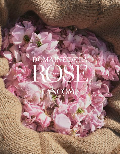 Lancome Logo, Maison Lancome Oud Bouquet, Lancome Idole, Lancome Rose, Idole Lancome Perfume Nectar, Lancome Idole Nectar, Spring Perfume, Fragrance Campaign, Shop Logo Design