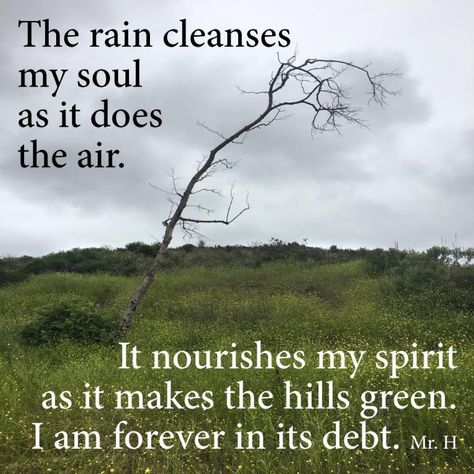 The Rain Cleanses My Soul Rain Cleanse, Rain Sticks, Cleanse Me, The Rain, Wise Words, Words Of Wisdom, Encouragement, Water, Quotes