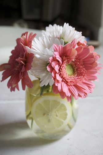 Mason Jar Centerpieces With Candles | Daisy and Lemon Mason Jar Centerpiece | Cupcakes and Candles Gerber Daisy, Pink And White, Daisy, Lemon, Vase, Flowers, Pink, White