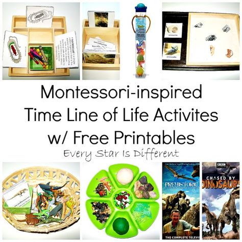 Every Star Is Different: Montessori-inspired Time Line of Life Activities w/ Free Printables Montessori Timeline, Kindergarten History, Line Of Life, Montessori Activities Preschool, Montessori Science, Montessori Printables, Toddler Montessori, Geography Activities, Montessori Elementary