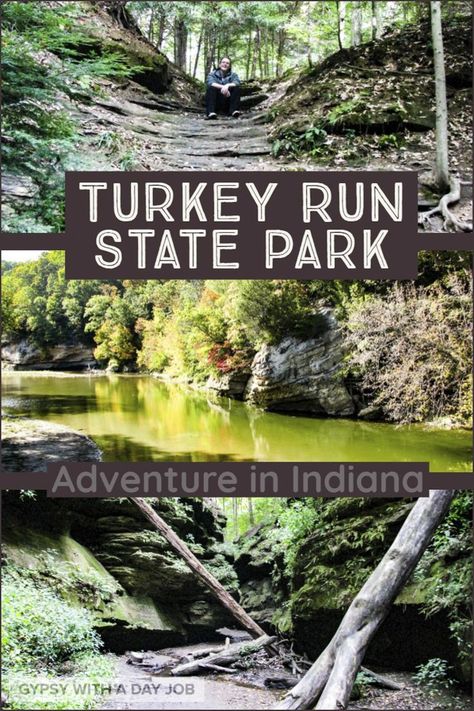 Turkey Run State Park is an adventure in the middle of Indiana.  Yes, it sounds like an oxymoron, but it is true.  Visiting Turkey Run should be on your Midwest list, and hiking Turkey run is sure to be a challenge you will love.    #Indiana #turkeyrun #ustravel Visiting Turkey, Park Run, Turkey Run State Park, Turkey Run, Indiana Travel, Hiking Adventures, Travel Hack, Southern Indiana, Travel Secrets