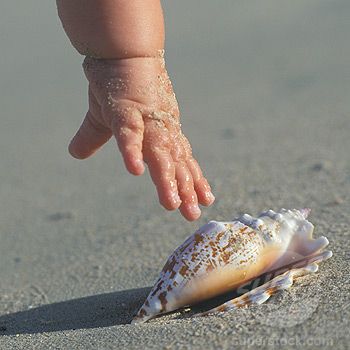 Baby Beach Photos, Baby Beach, 사진 촬영 포즈, She Sells Seashells, I Love The Beach, Foto Baby, Baby Hands, Beach Baby, Beach Time