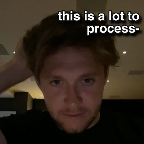 Omw Reaction Pic, Niall Horan Funny Quotes, One Direction Love Reaction Pics, Niall Horan Tweets Funny, Niall Horan Whisper, Niall Horan Funny, Niall Horan Memes Hilarious, Big Red Bus, Jesus Memes