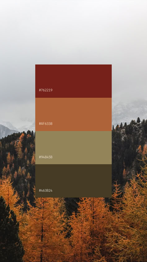 Autumn Color Palette Canva Template #canva #template #freetemplate #colorpalette Autumn Tones Color Pallets, Fall Photos Color Palette, Thanksgiving Color Palette, Autumn Pallet, Color Palette Canva, Fall Colour Palette, Thanksgiving Colors, Thanksgiving Cake, Autumn Color Palette