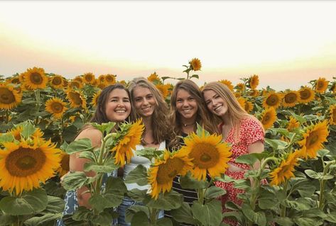 Friends Sunflower Pictures, Daffodil Photo, Bsf Photos, Sunflower Pics, Sunflower Shoot, Sunflower Photos, Sunflower Field Pictures, Mother Daughter Pictures, Fall Photo Shoot Outfits