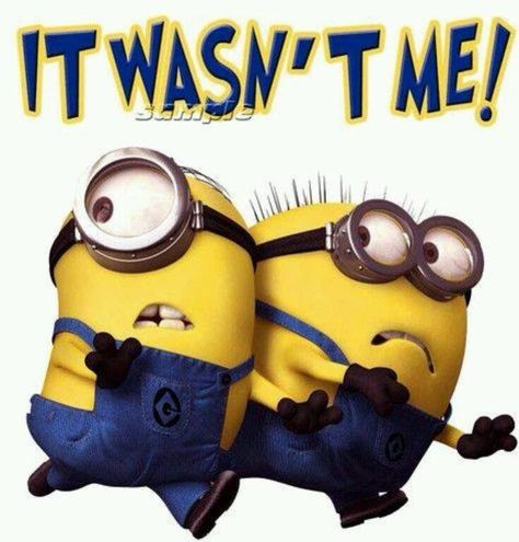 It wasn't me Minions Trailer, Despicable Me Funny, Minions Humor, Funny Minion Memes, Minion Movie, Minion Pictures, Minion Jokes, Minions Love, Cute Minions