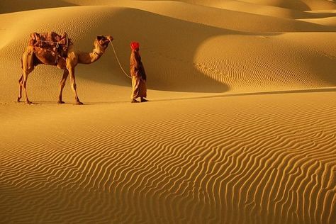 The beautiful Cholistan, desert in Pakistan #Cholistan #Visit #Pakistan  (photo credit to respective owner) Cholistan Desert, Rajasthan Desert, Desert Tour, Best Vacation Spots, Jaisalmer, Safari Tour, Romantic Places, Tourist Places, India Travel